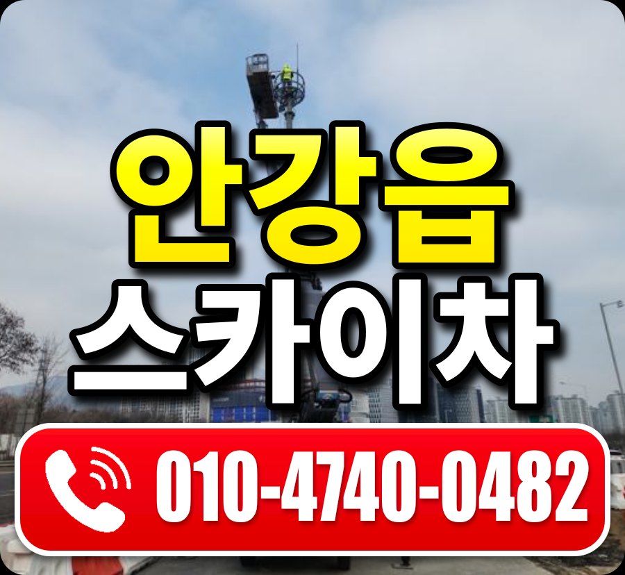 안강읍 스카이차 010-4740-0482
