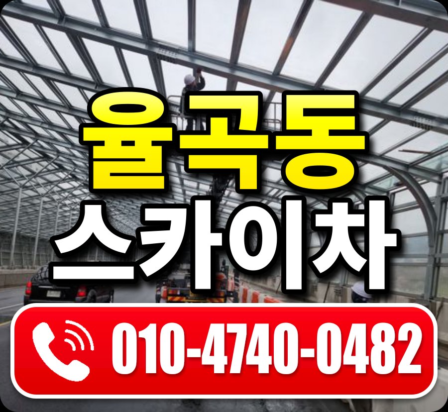 율곡동 스카이차 010-4740-0482