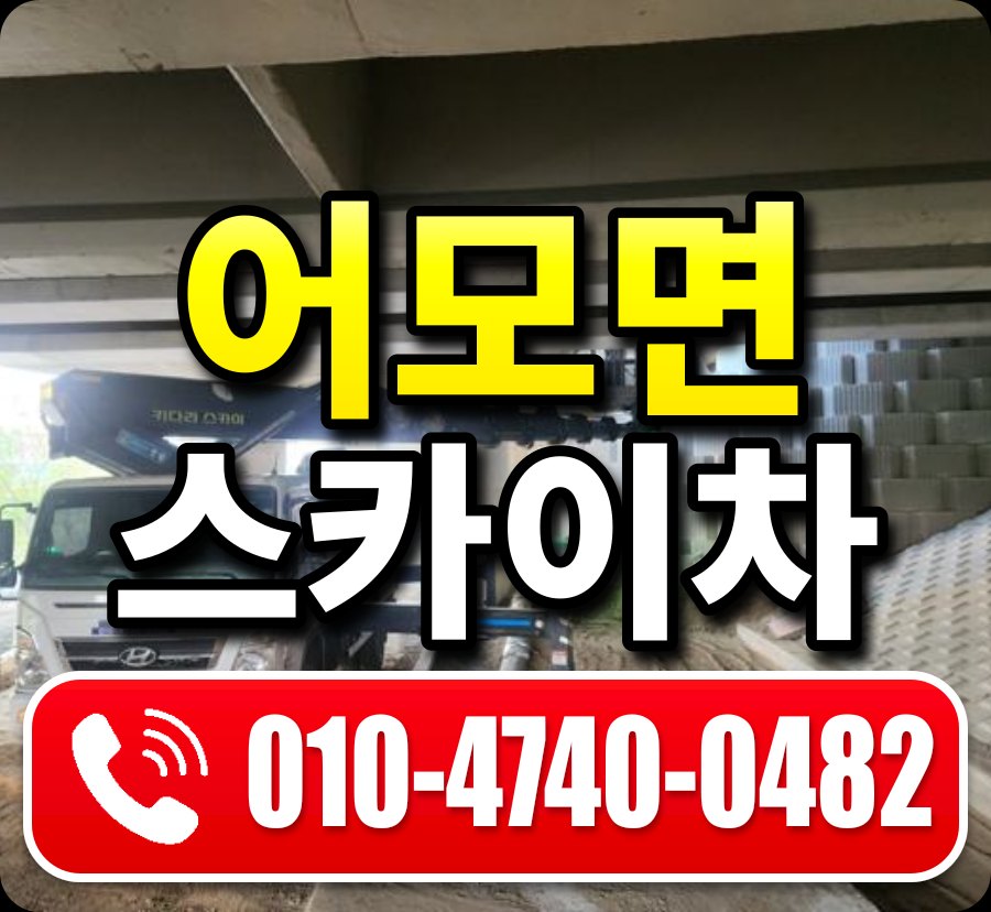 어모면 스카이차 010-4740-0482