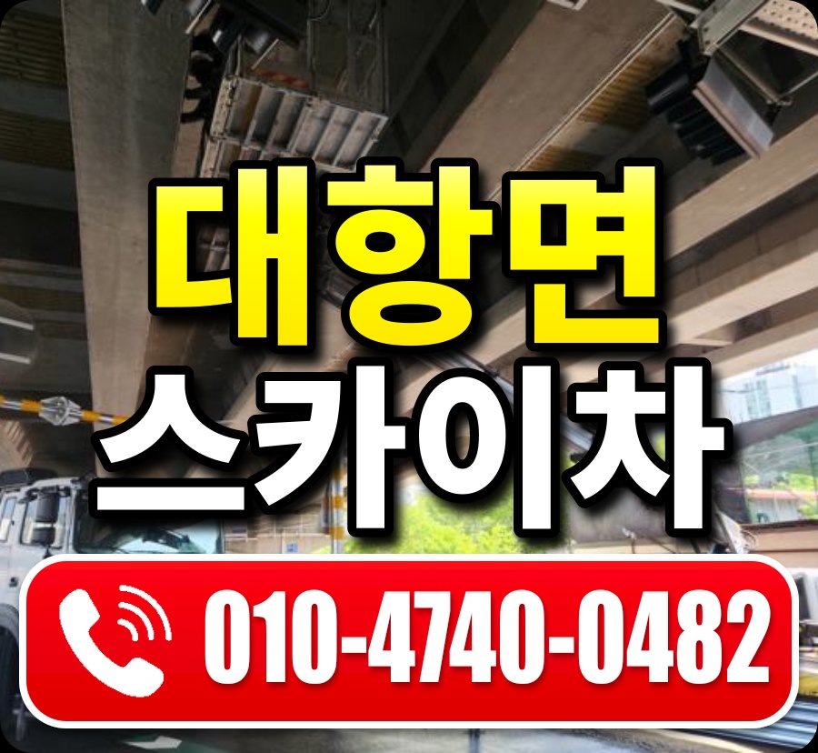 대항면 스카이차 010-4740-0482