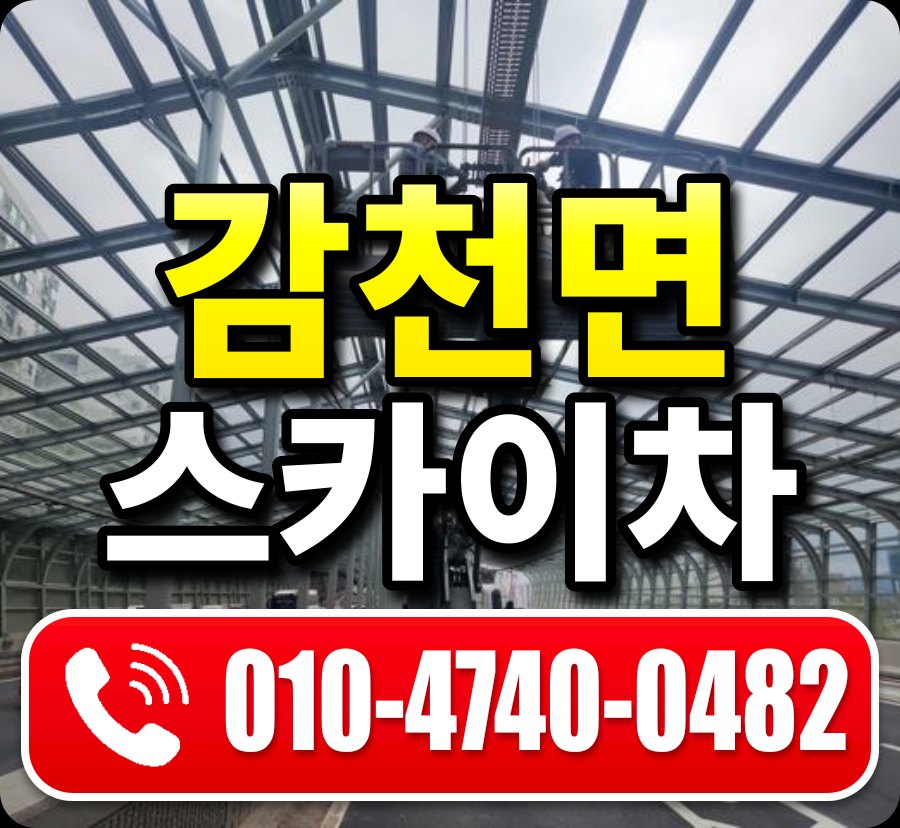 감천면 스카이차 010-4740-0482