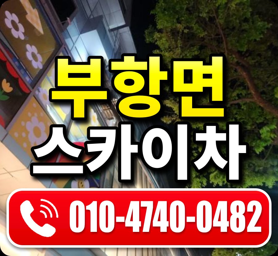 부항면 스카이차 010-4740-0482