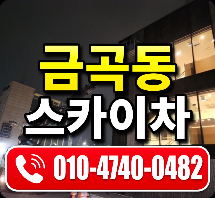 금곡동 스카이차 010-4740-0482