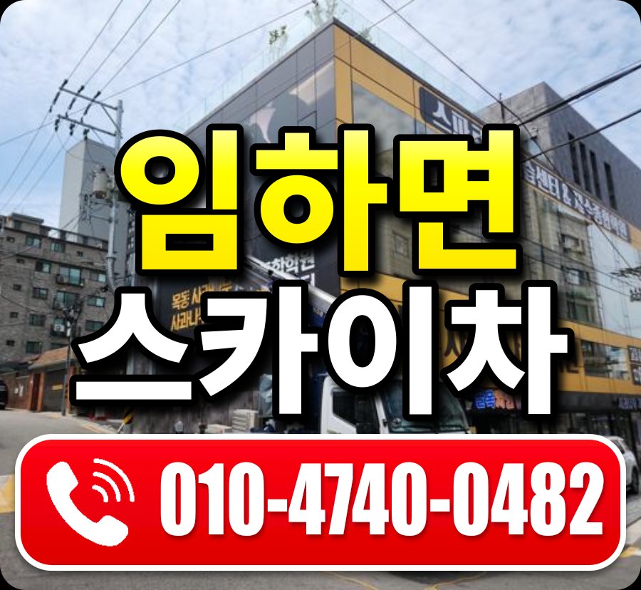 임하면 스카이차 010-4740-0482