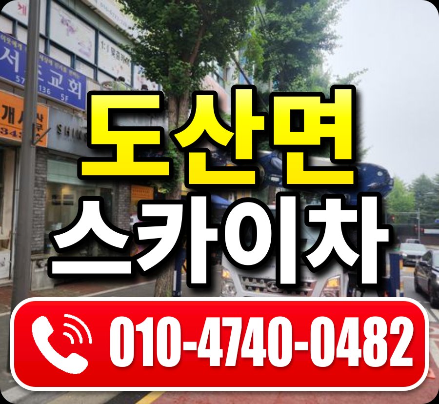 도산면 스카이차 010-4740-0482