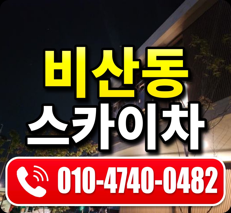 비산동 스카이차 010-4740-0482
