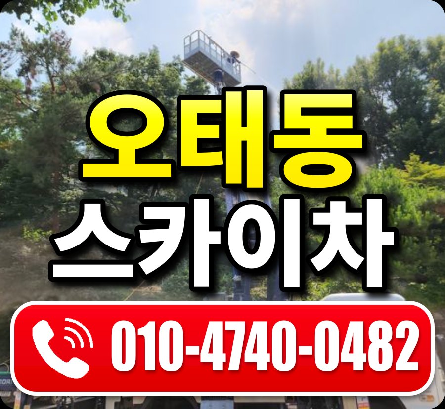 오태동 스카이차 010-4740-0482