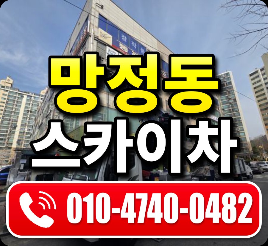 망정동 스카이차 010-4740-0482