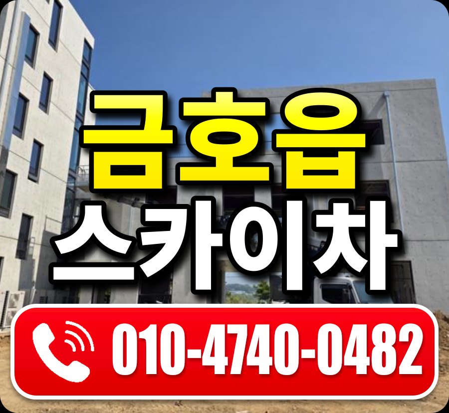 금호읍 스카이차 010-4740-0482