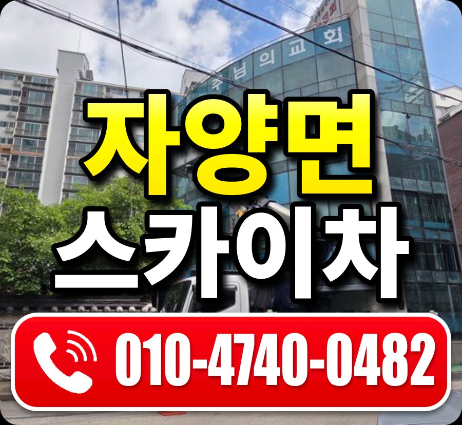 자양면 스카이차 010-4740-0482