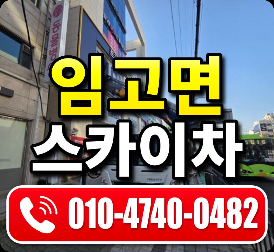 임고면 스카이차 010-4740-0482