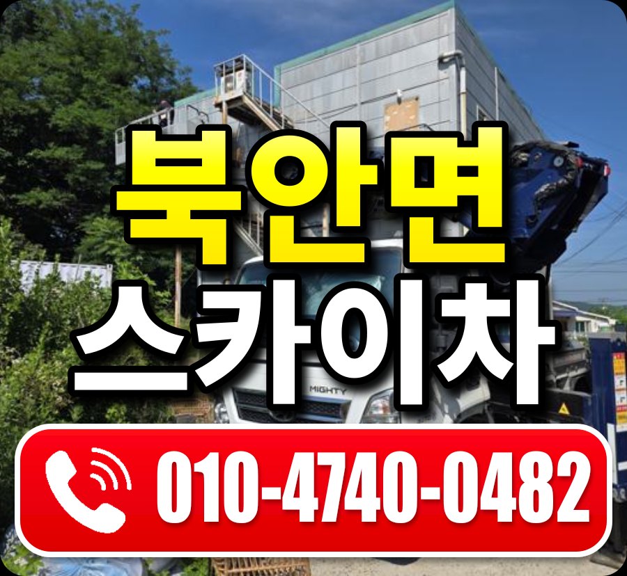 북안면 스카이차 010-4740-0482