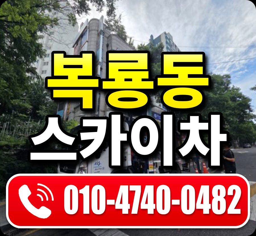 복룡동 스카이차 010-4740-0482
