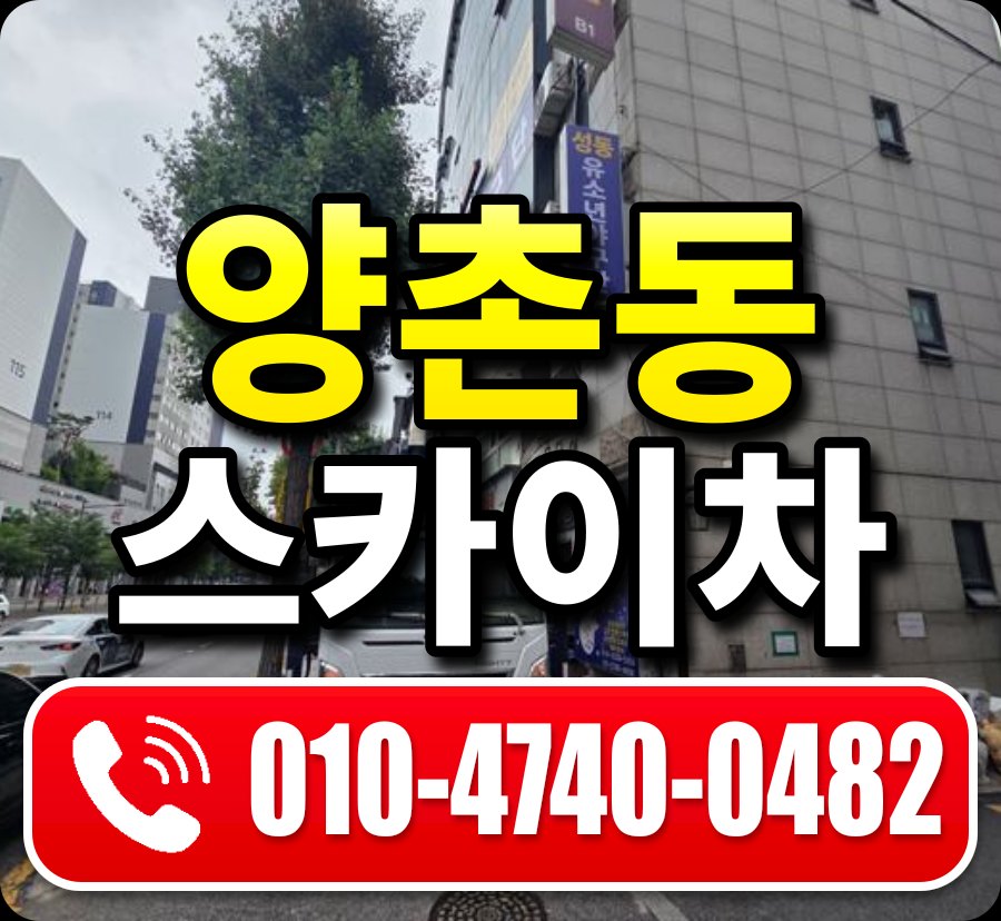 양촌동 스카이차 010-4740-0482