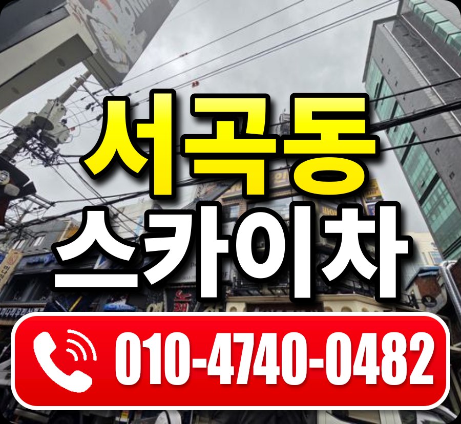 서곡동 스카이차 010-4740-0482