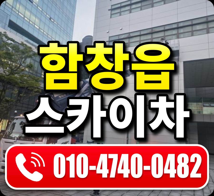 함창읍 스카이차 010-4740-0482