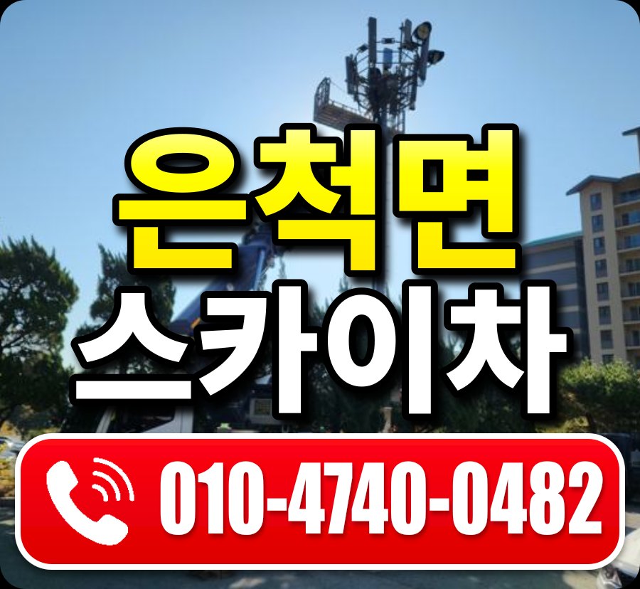 은척면 스카이차 010-4740-0482