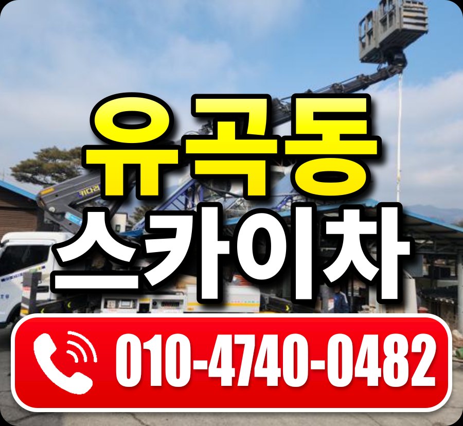 유곡동 스카이차 010-4740-0482
