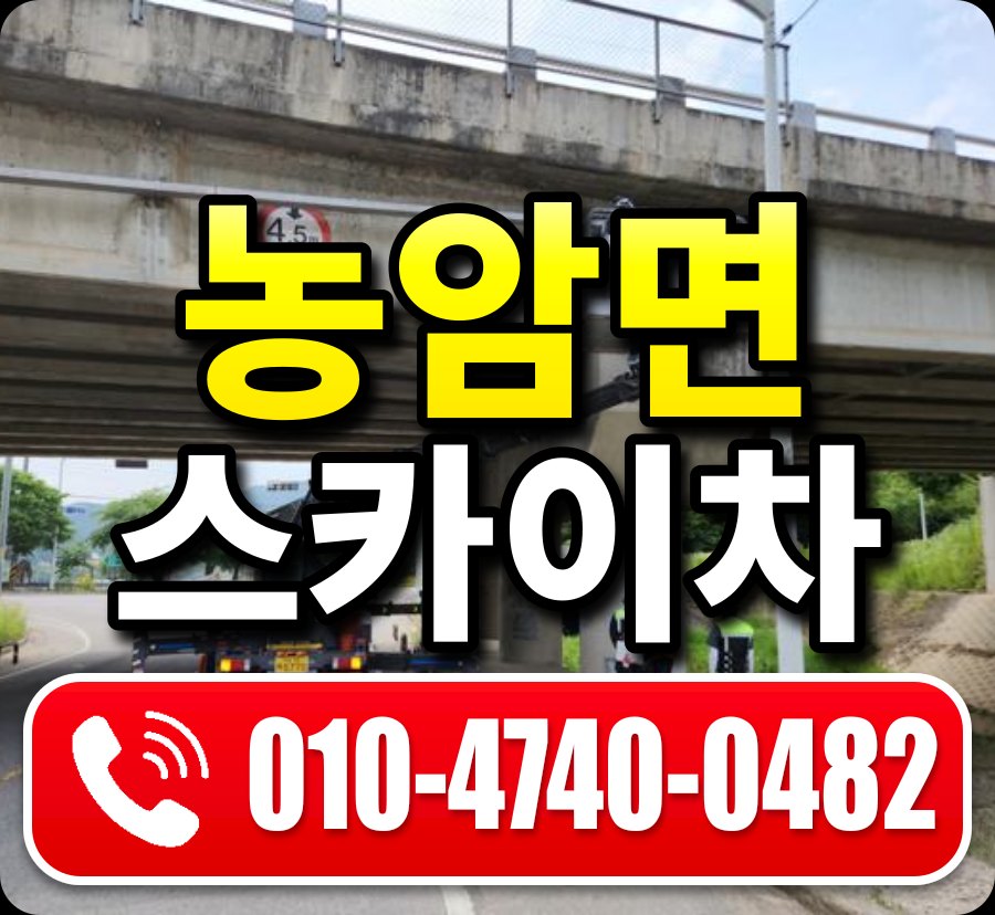 농암면 스카이차 010-4740-0482