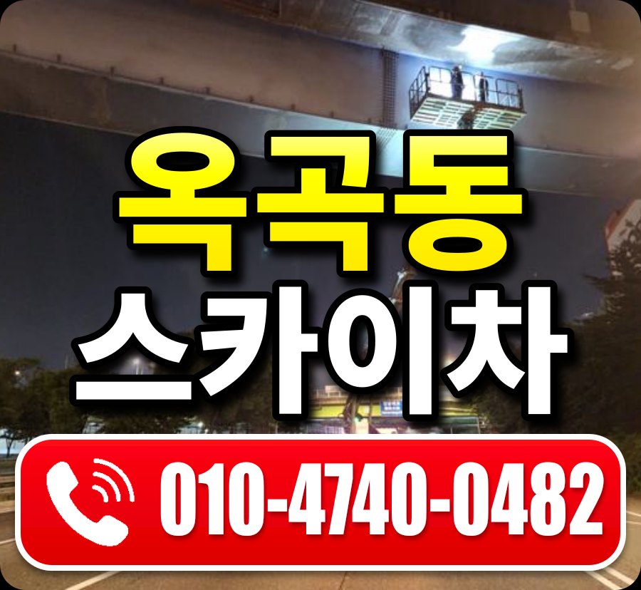 옥곡동 스카이차 010-4740-0482