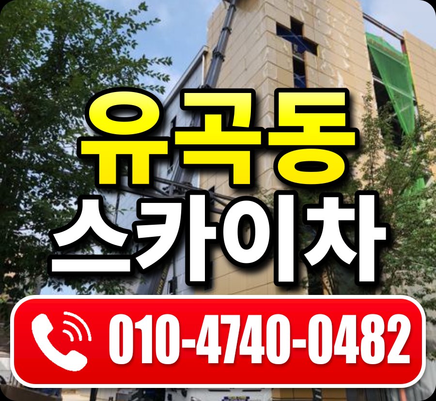 유곡동 스카이차 010-4740-0482