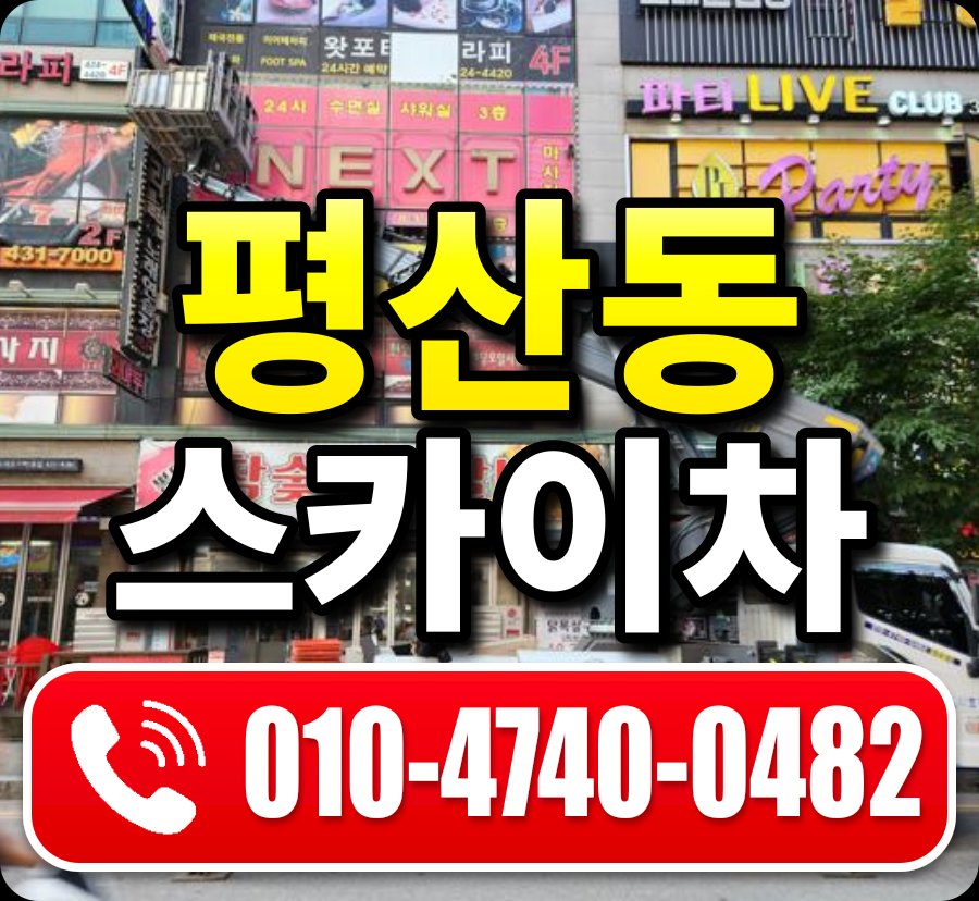 평산동 스카이차 010-4740-0482