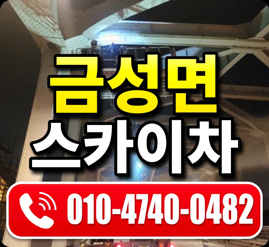 금성면 스카이차 010-4740-0482