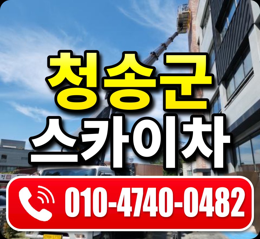 청송군 스카이차 010-4740-0482