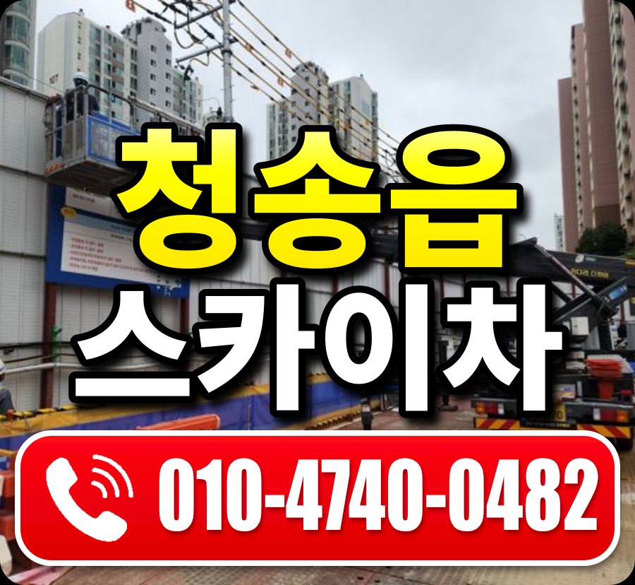 청송읍 스카이차 010-4740-0482