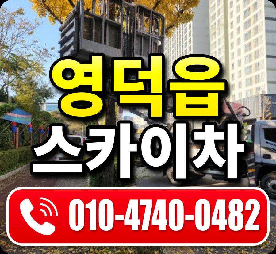 영덕읍 스카이차 010-4740-0482