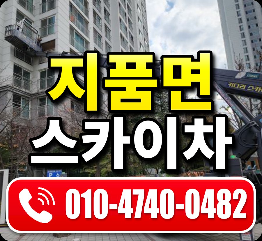 지품면 스카이차 010-4740-0482