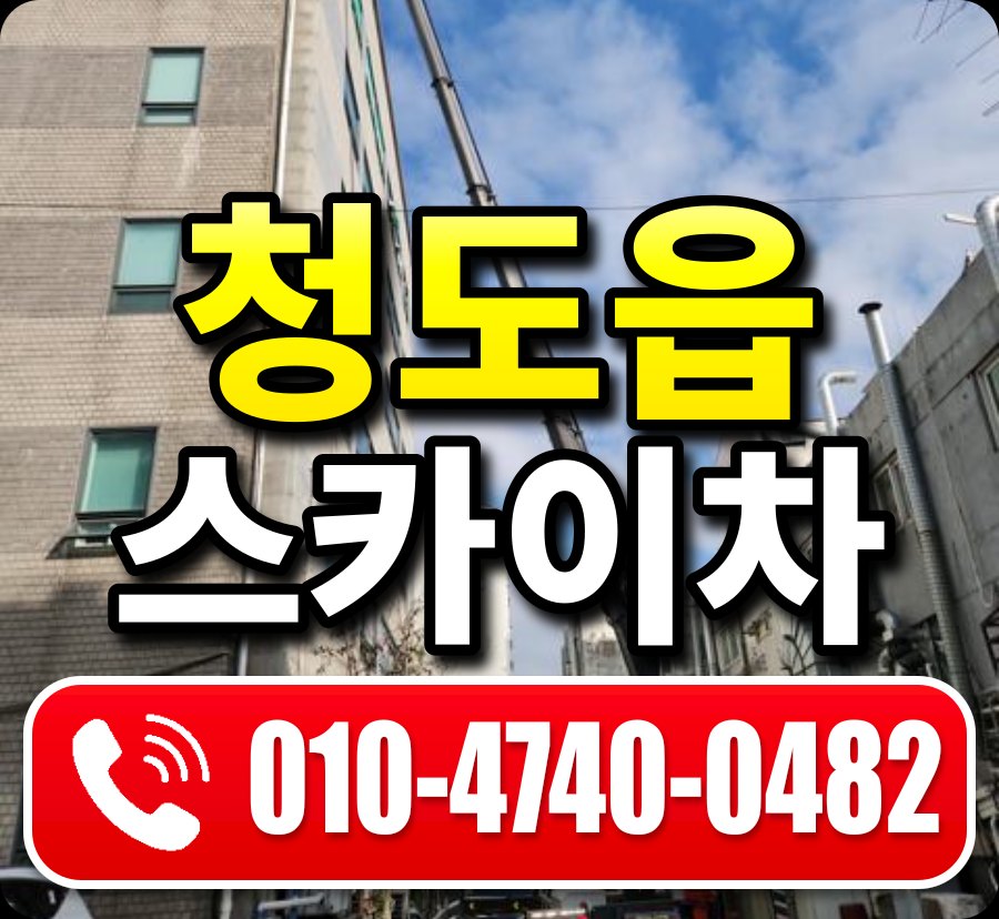 청도읍 스카이차 010-4740-0482