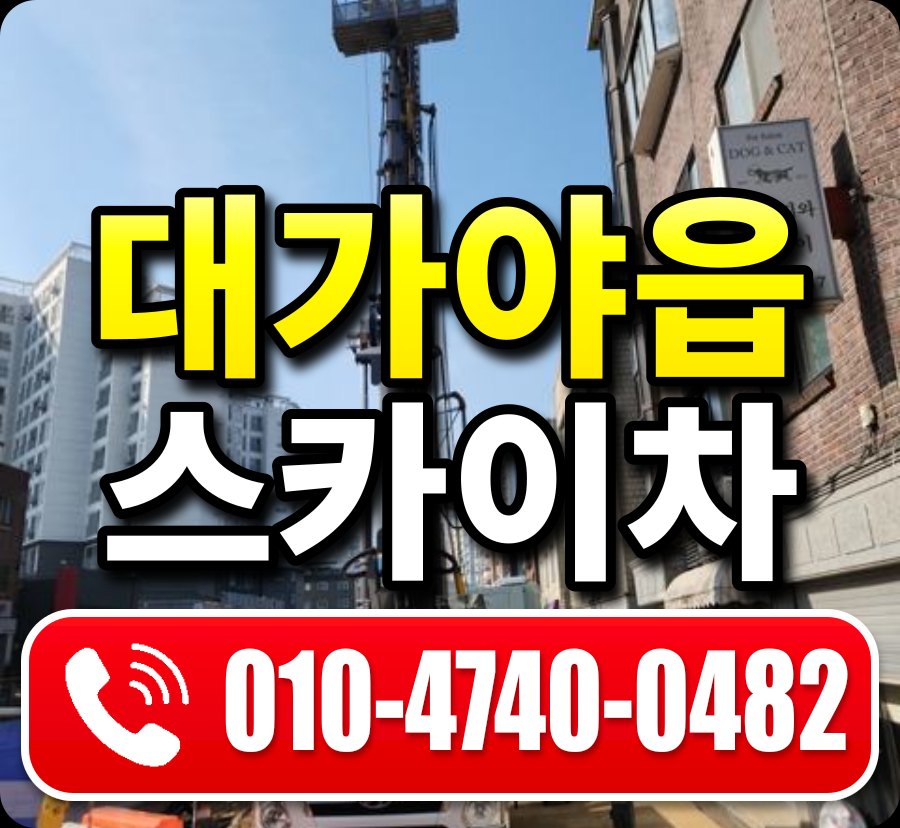 대가야읍 스카이차 010-4740-0482