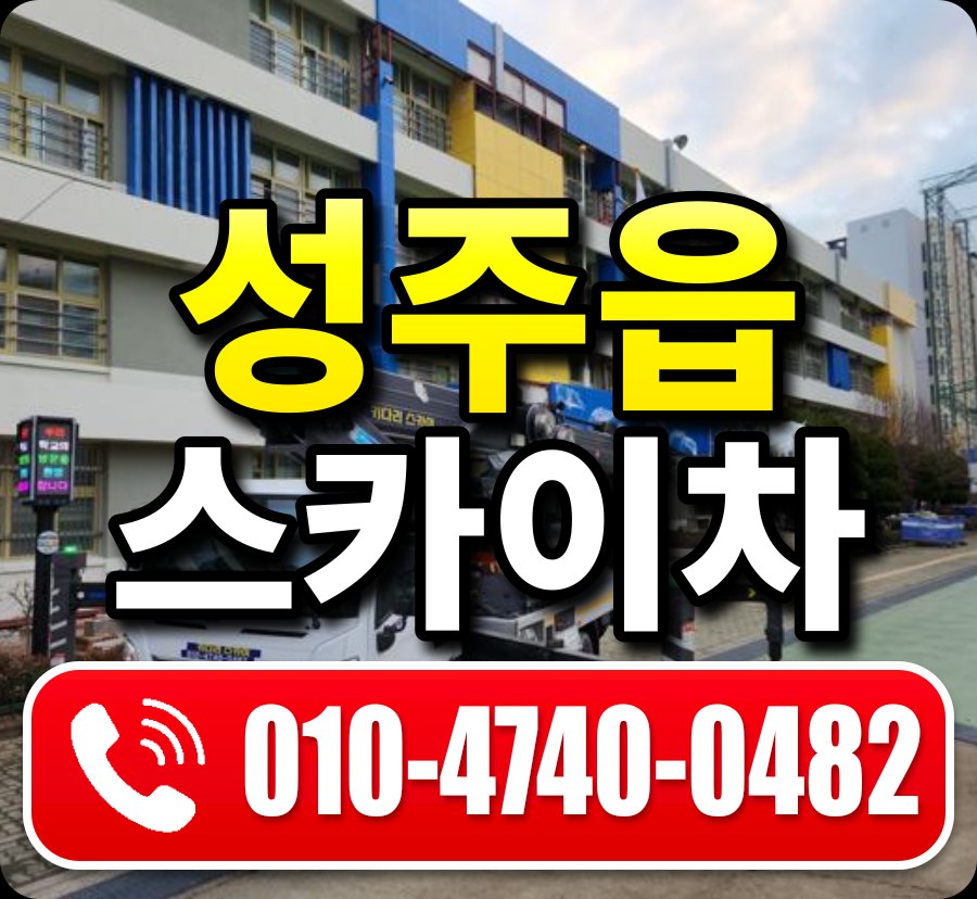 성주읍 스카이차 010-4740-0482