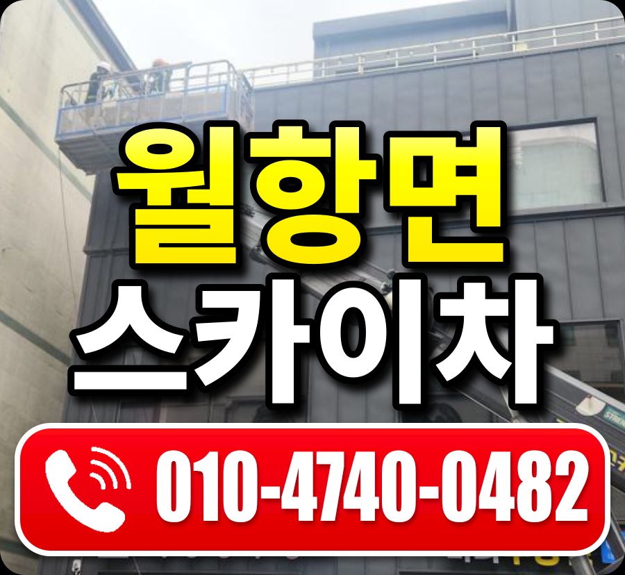 월항면 스카이차 010-4740-0482