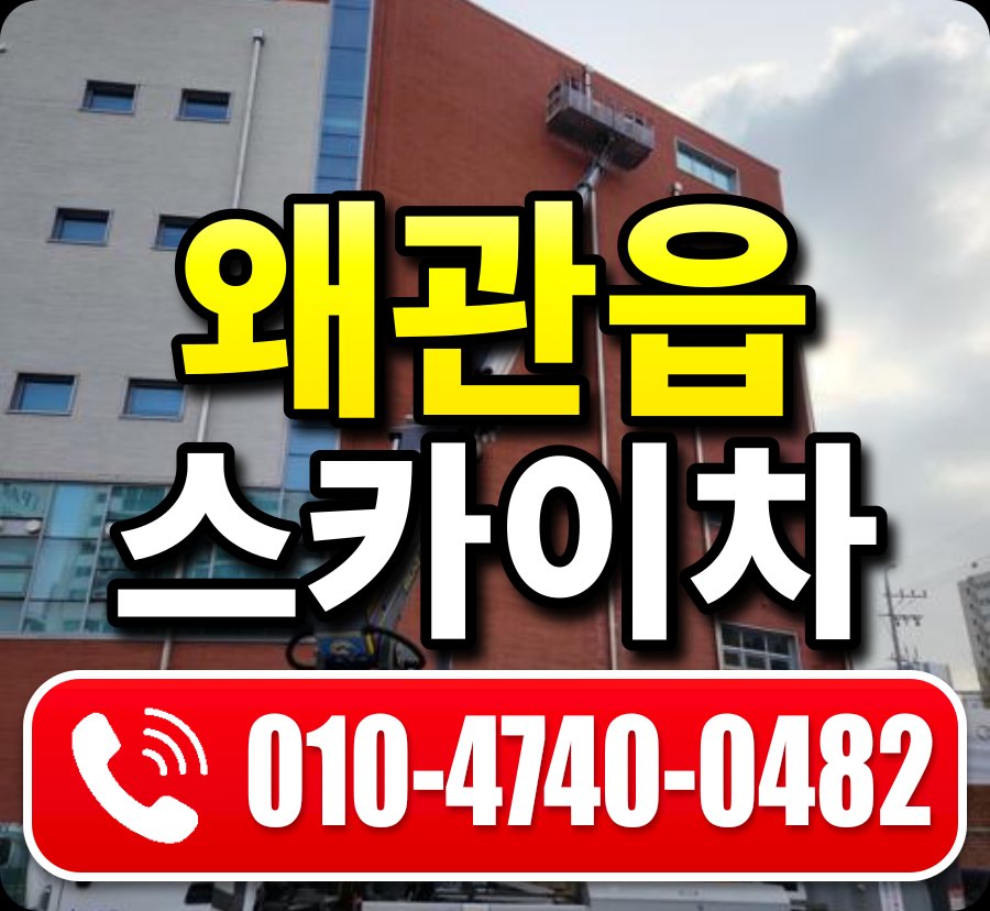 왜관읍 스카이차 010-4740-0482