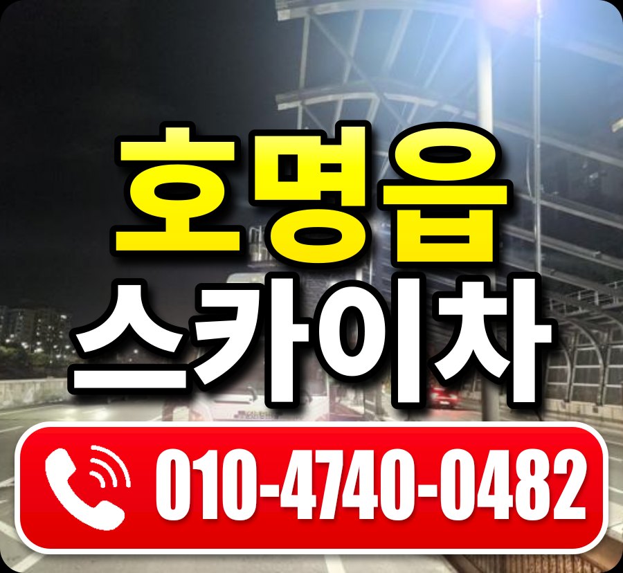 호명읍 스카이차 010-4740-0482