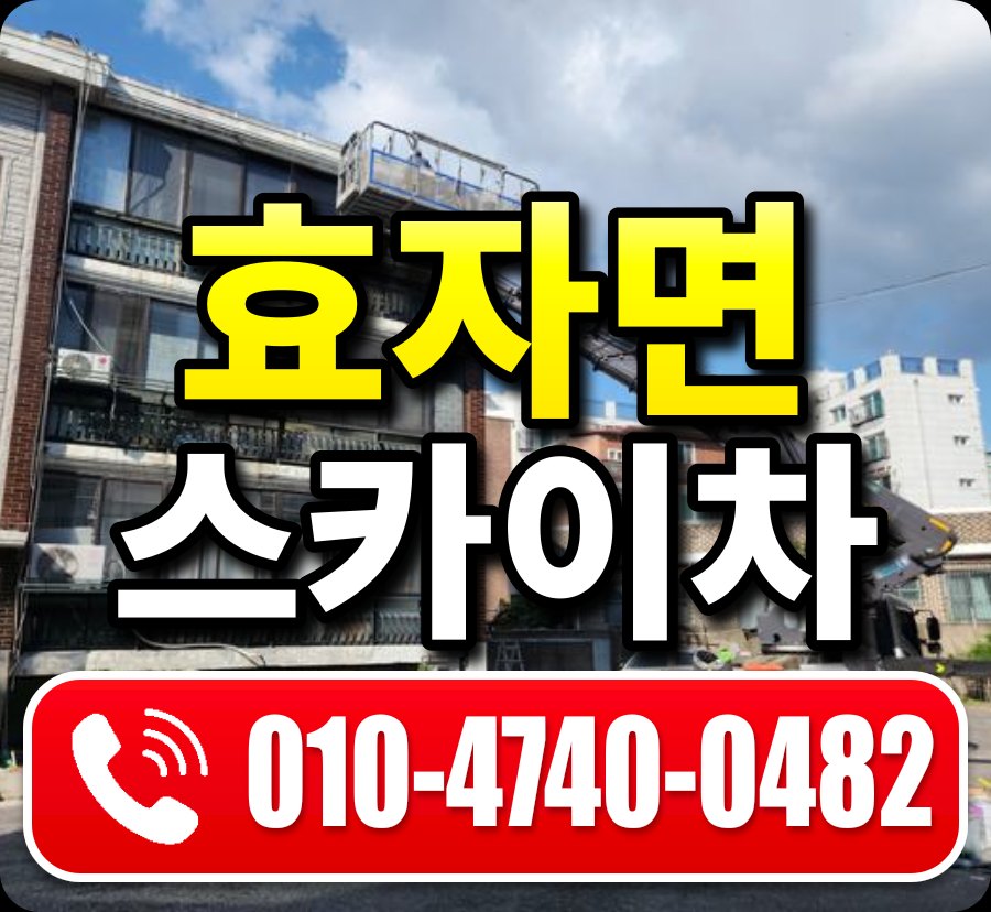 효자면 스카이차 010-4740-0482