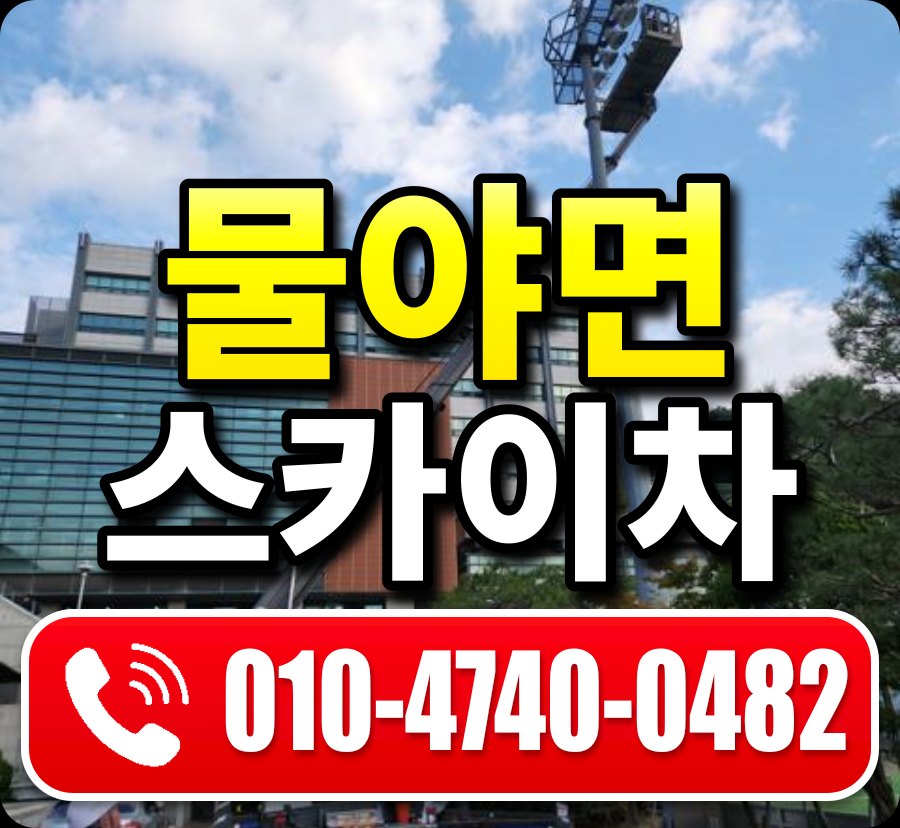 물야면 스카이차 010-4740-0482