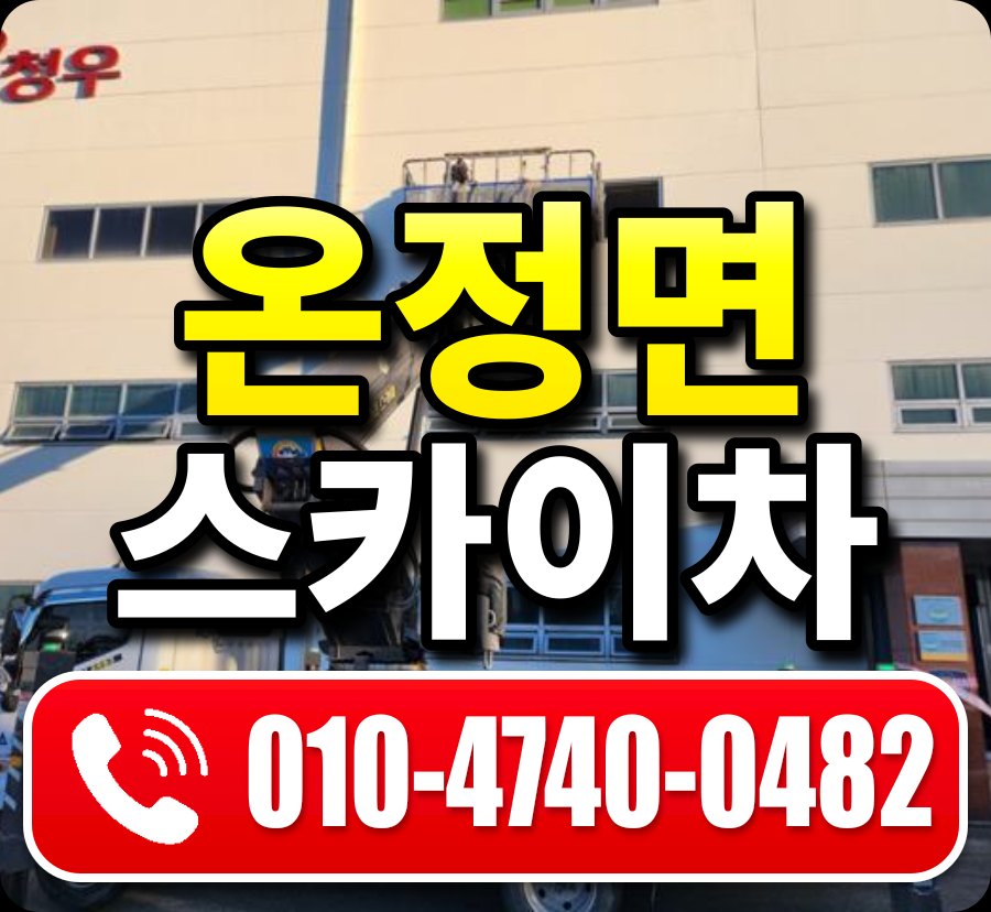 온정면 스카이차 010-4740-0482