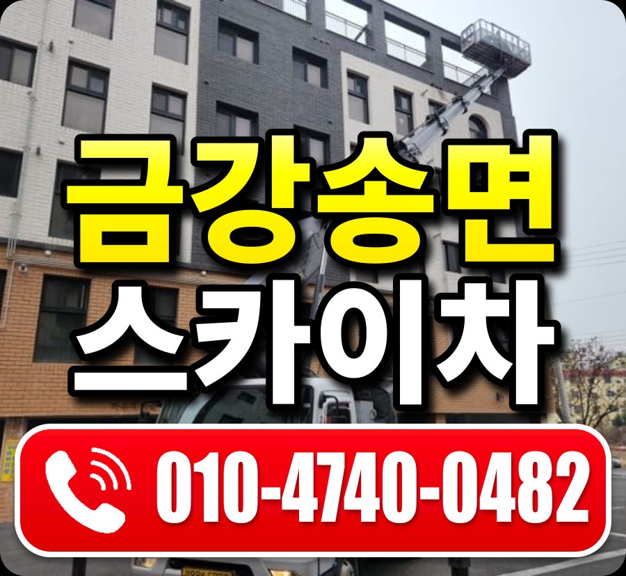 금강송면 스카이차 010-4740-0482