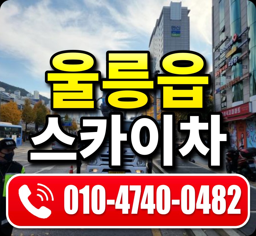 울릉읍 스카이차 010-4740-0482