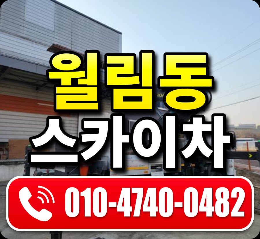 월림동 스카이차 010-4740-0482