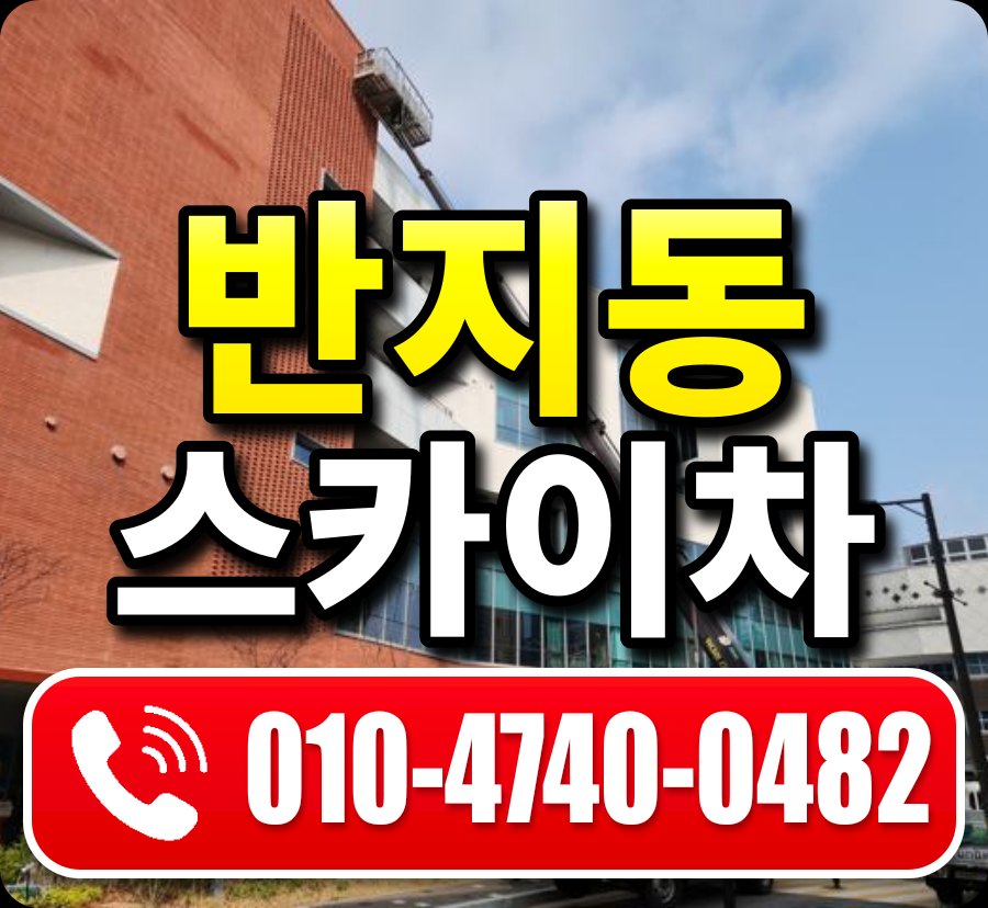 반지동 스카이차 010-4740-0482
