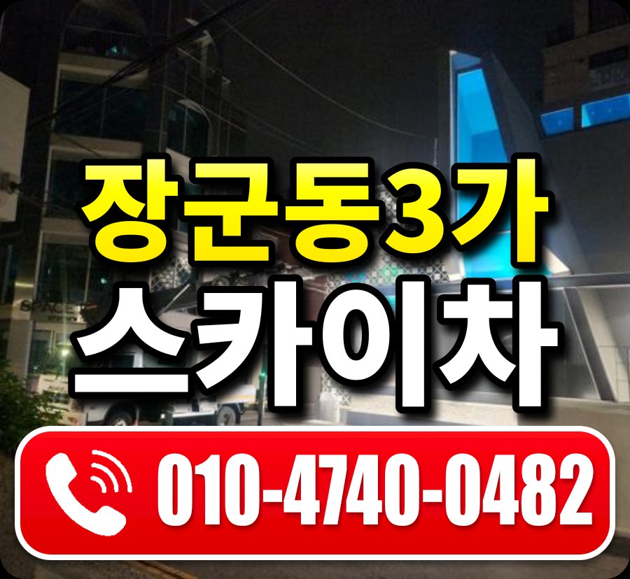 장군동3가 스카이차 010-4740-0482