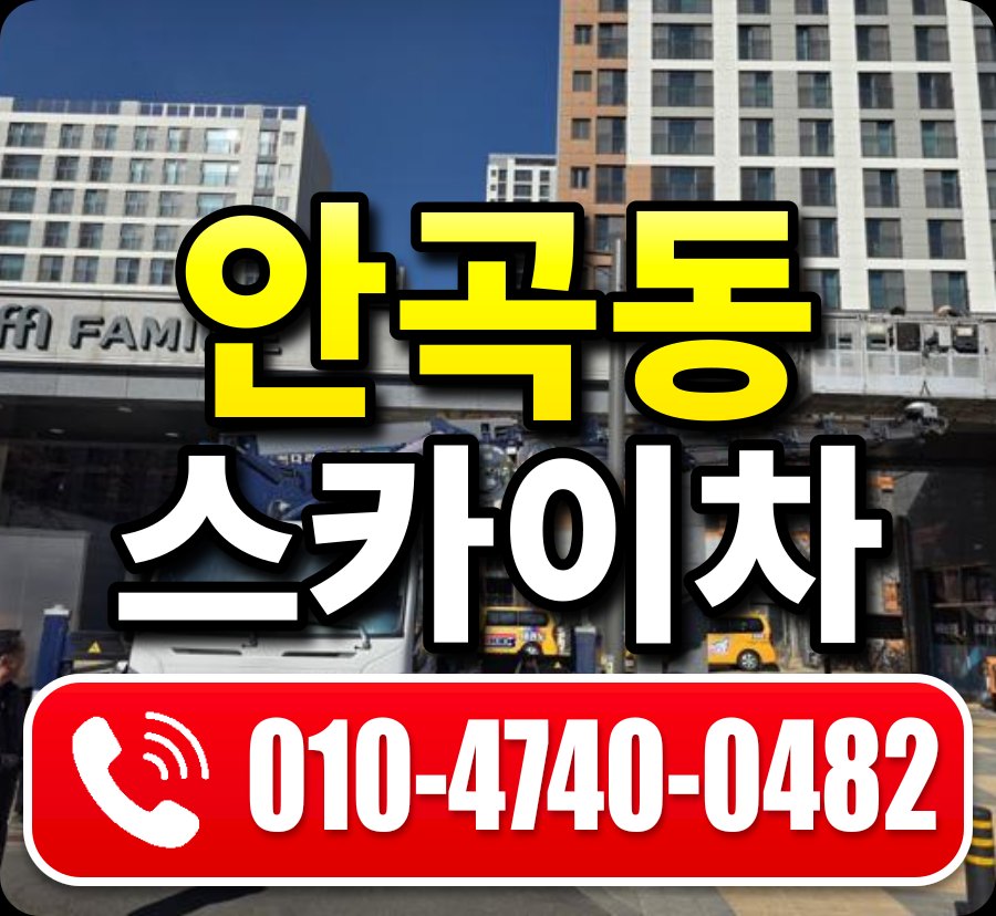 안곡동 스카이차 010-4740-0482