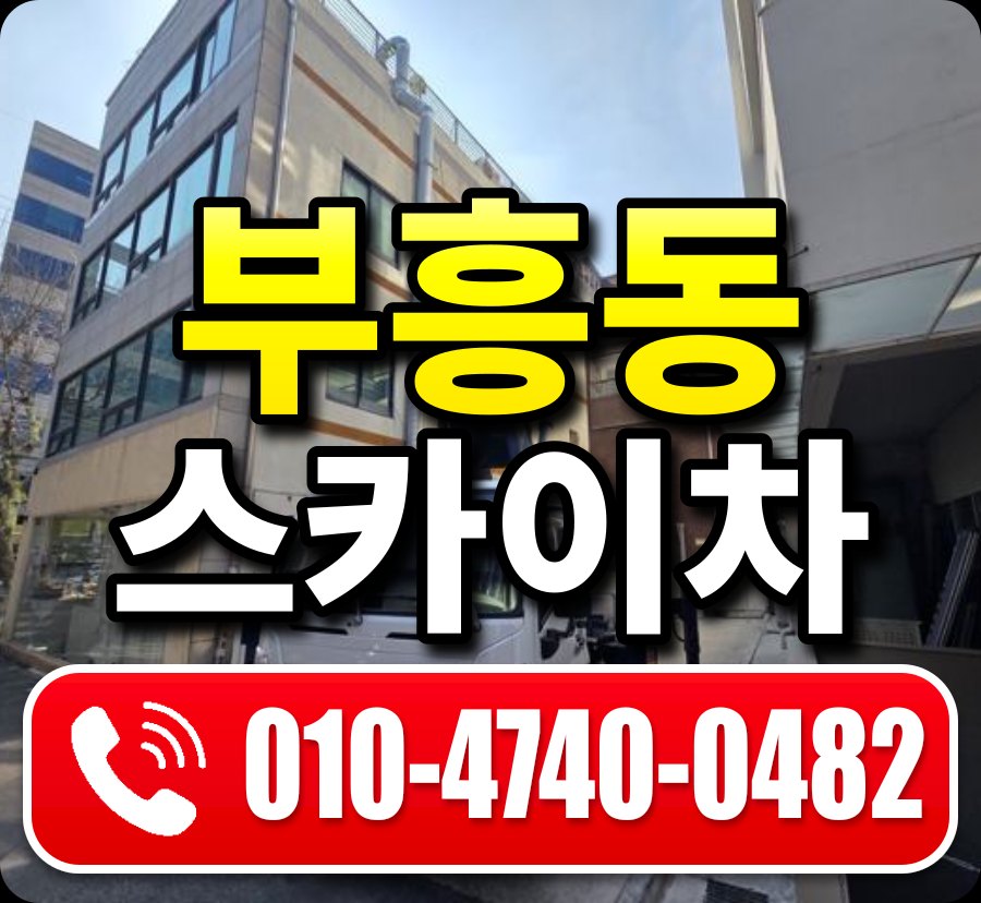 부흥동 스카이차 010-4740-0482