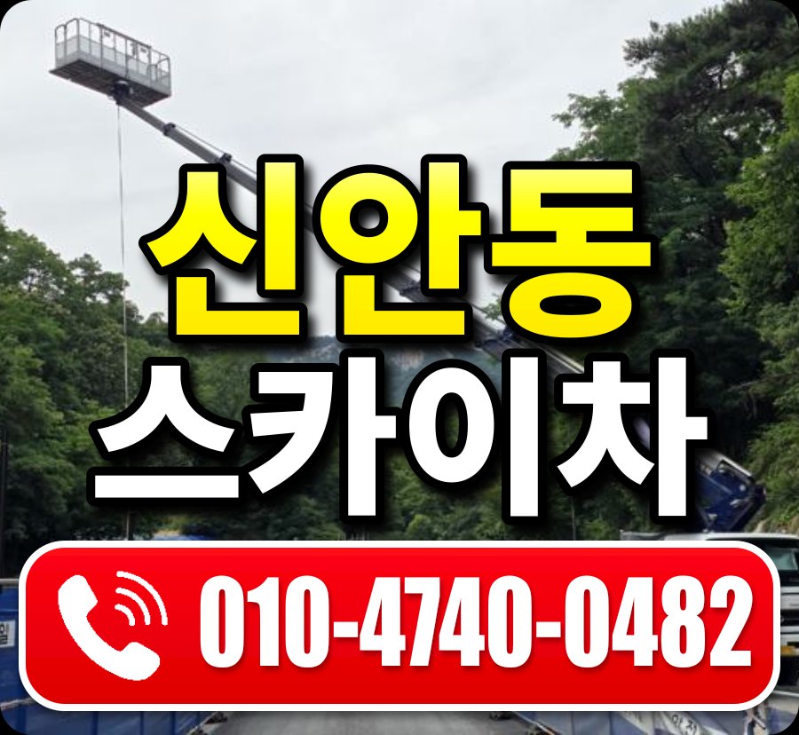 신안동 스카이차 010-4740-0482
