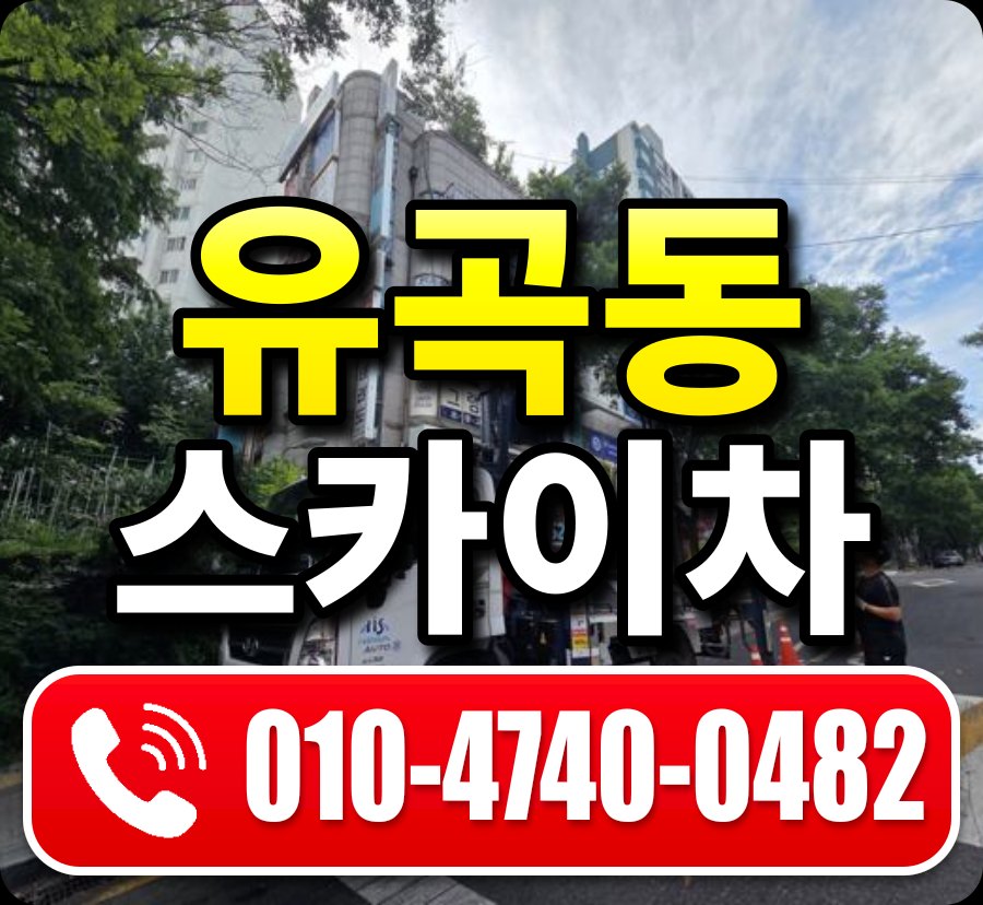 유곡동 스카이차 010-4740-0482
