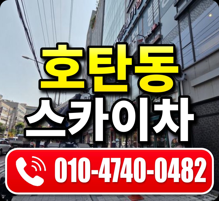 호탄동 스카이차 010-4740-0482